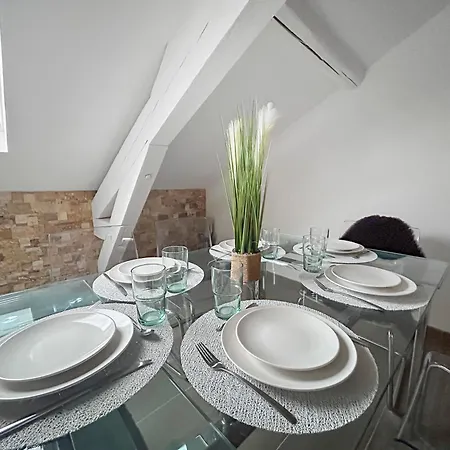 Lägenhet Cosy Et Lumineux A Nancy